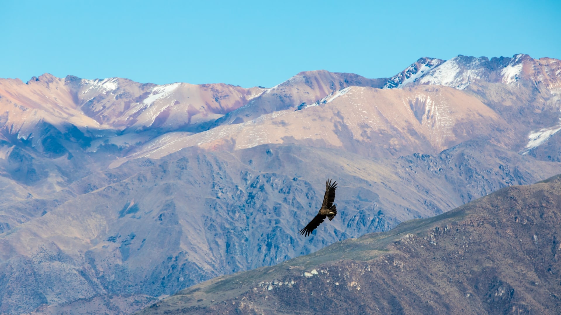 Auf alten Inkapfaden durch die Anden